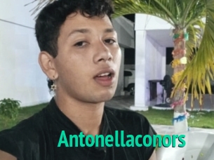 Antonellaconors