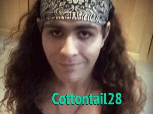 Cottontail28