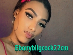 Ebonybiigcock22cm