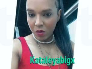 Kataleyabigx