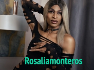 Rosaliamonteros