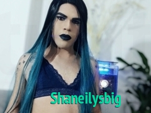 Shaneilysbig