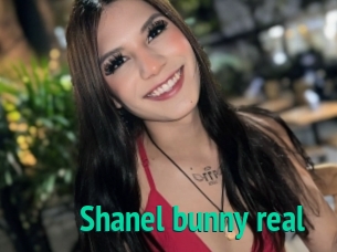 Shanel_bunny_real